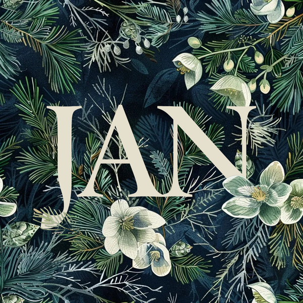 Mixtape | January 2026