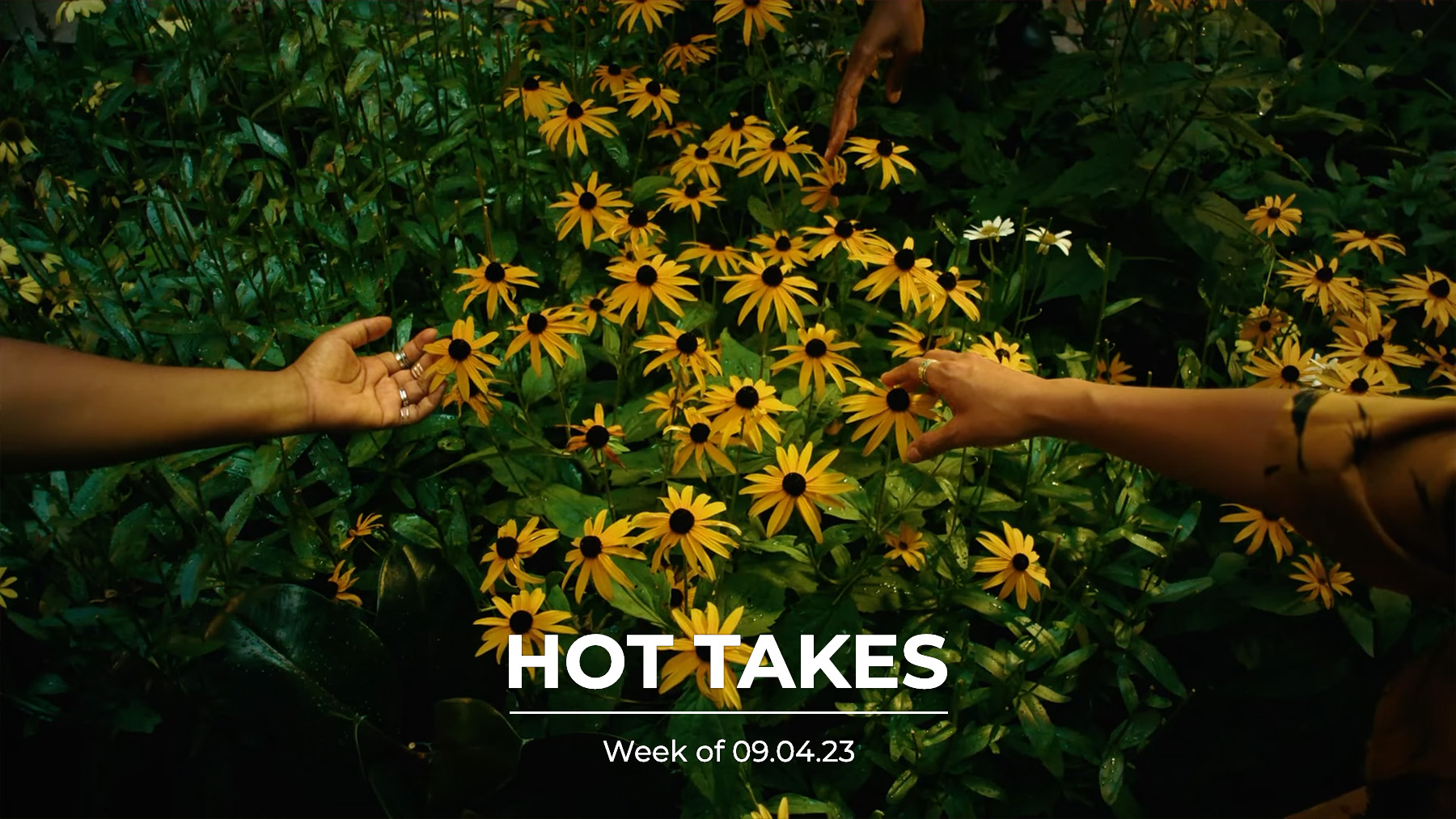 #HotTakes | Week of 09.04.23
